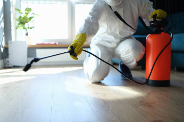 Reliable Odor Removal contractor in Hillsboro, IN by Trauma Clean Pros